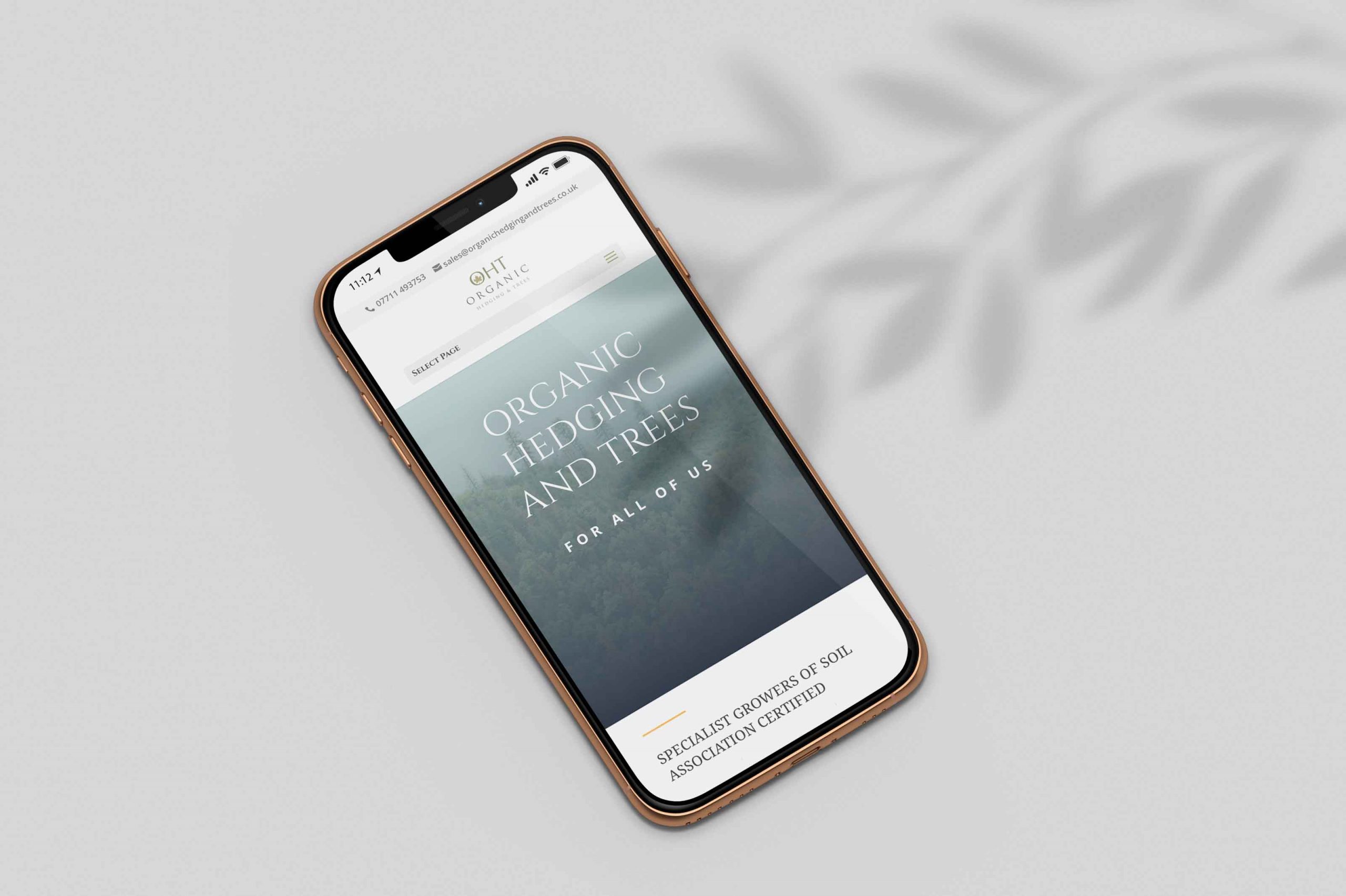 Responsive website Responsive website